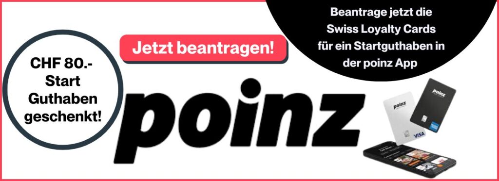 MIss Finance - Werbebanner - poinz (CHF 80)